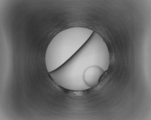 X0000111030478200906251121