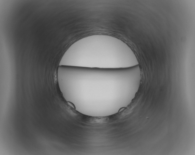 X0000111030479200906251121