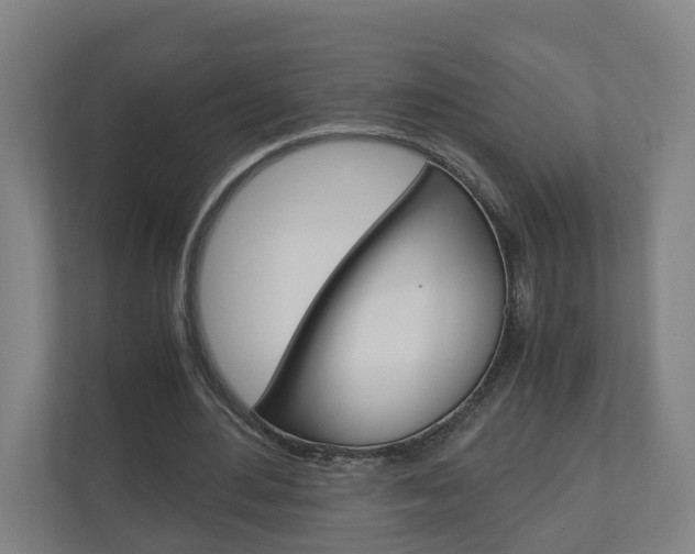 X0000111030484200906251121