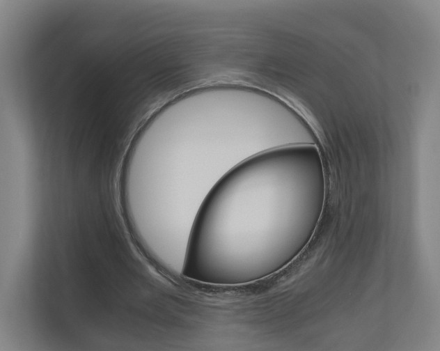 X0000111030485200906251121