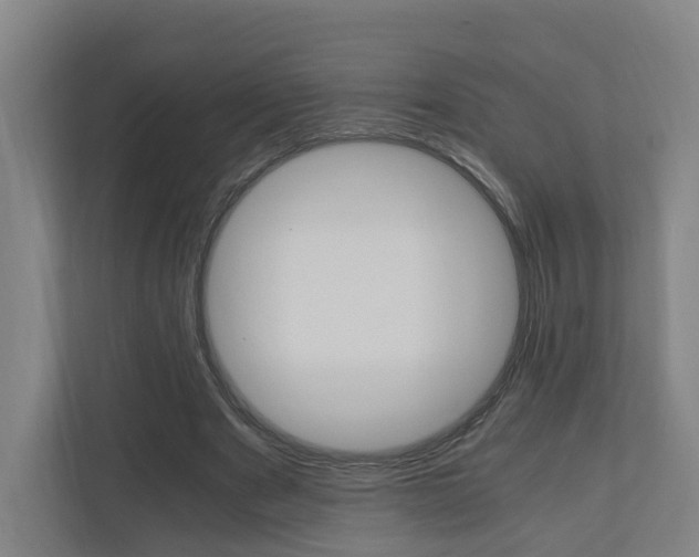 X0000111030489200906251121