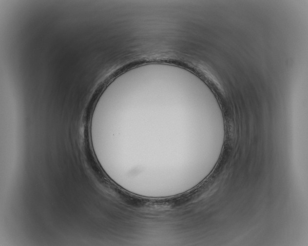 X0000111030491200906251121