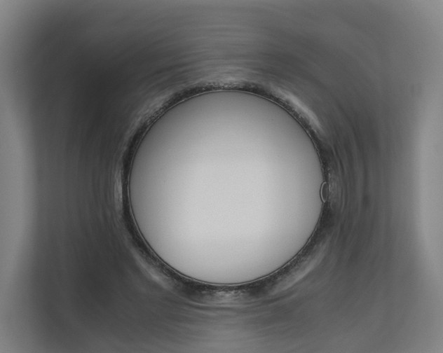 X0000111030493200906251120