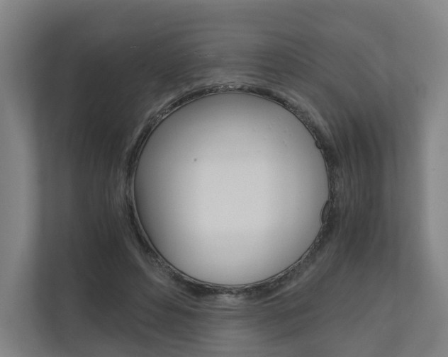 X0000111030496200906251120