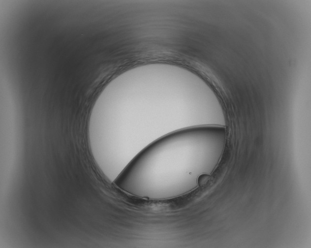 X0000111030501200906251120