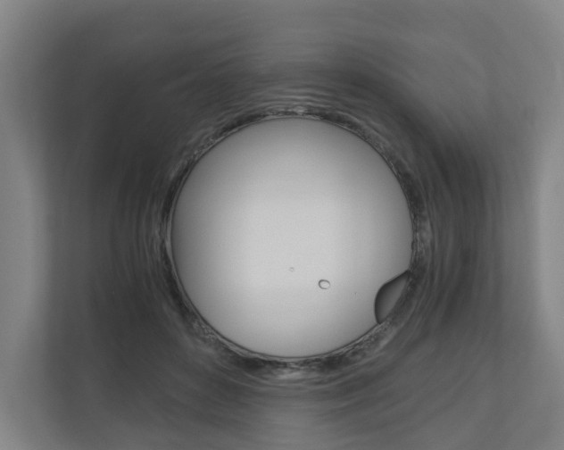 X0000111030504200906251120