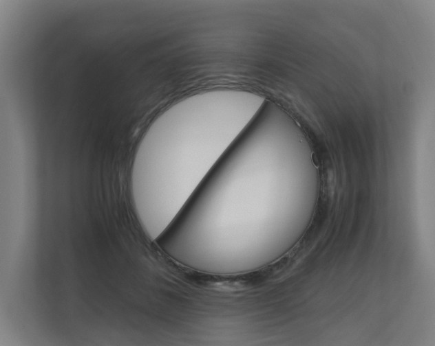 X0000111030508200906251120