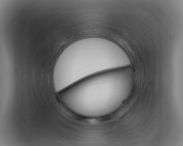X0000111030509200906251120