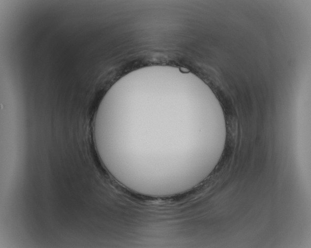 X0000111030511200906251120