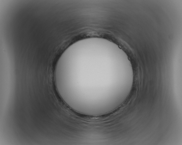 X0000111030513200906251120