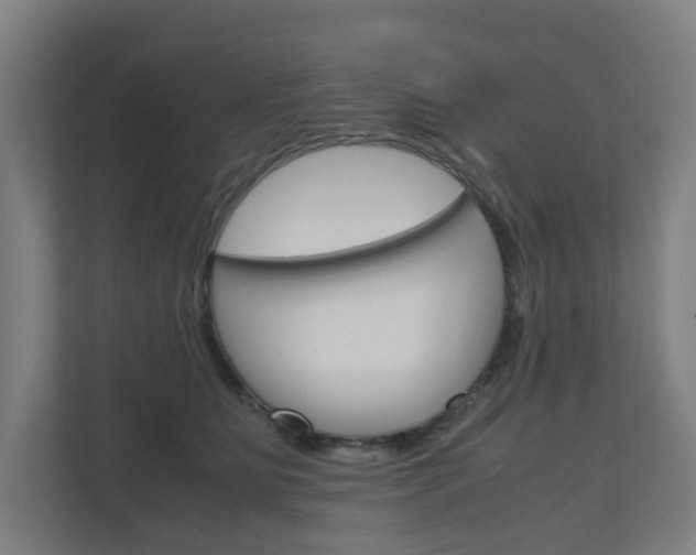 X0000111030515200906251120