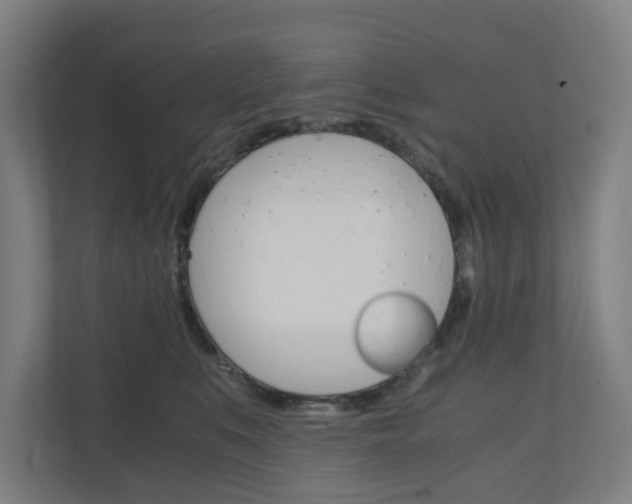 X0000111030519200906251120