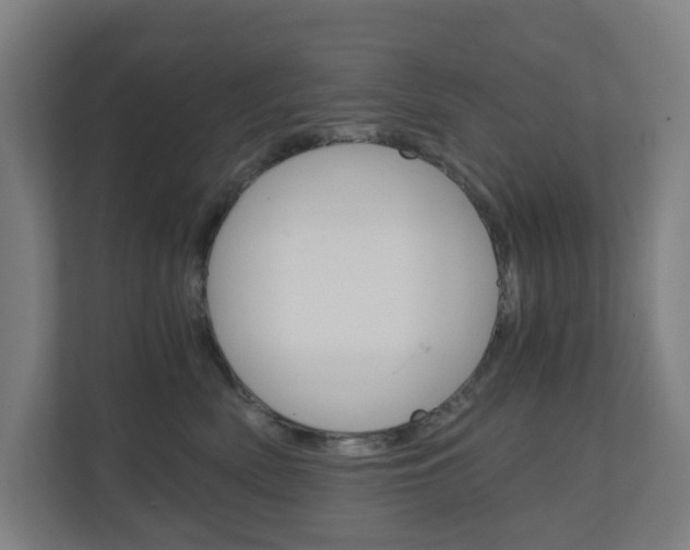 X0000111030522200906251120