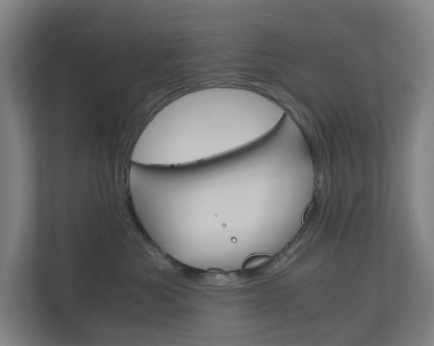 X0000111030525200906251120