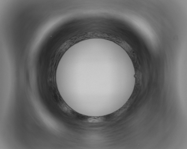 X0000111030526200906251120