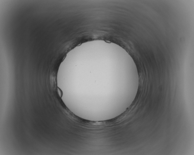 X0000111030527200906251120