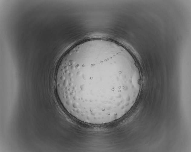 X0000111030529200906251119