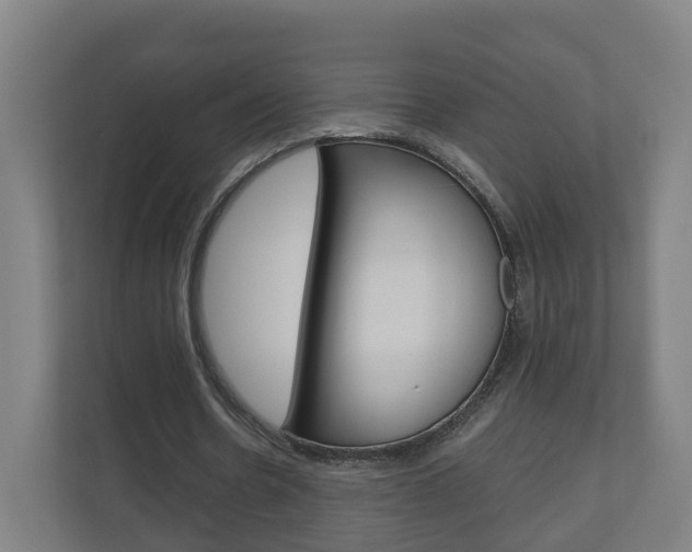 X0000111030530200906251119