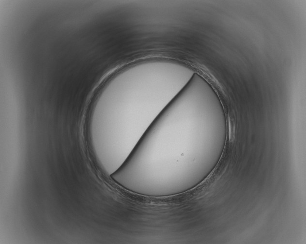 X0000111030531200906251119