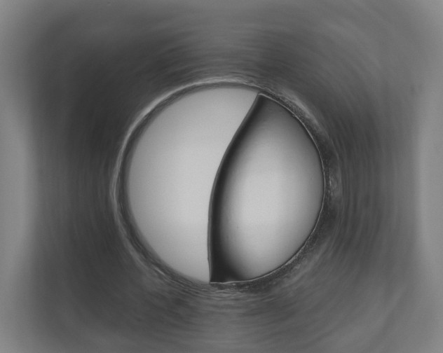 X0000111030532200906251119