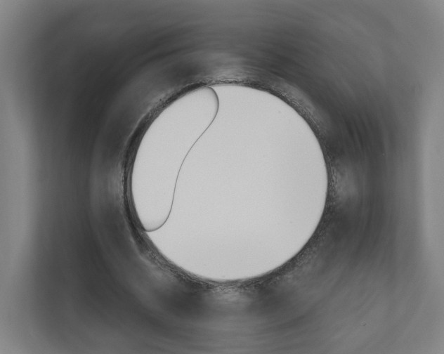 X0000111030534200906251119
