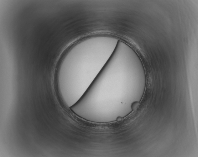 X0000111030535200906251119