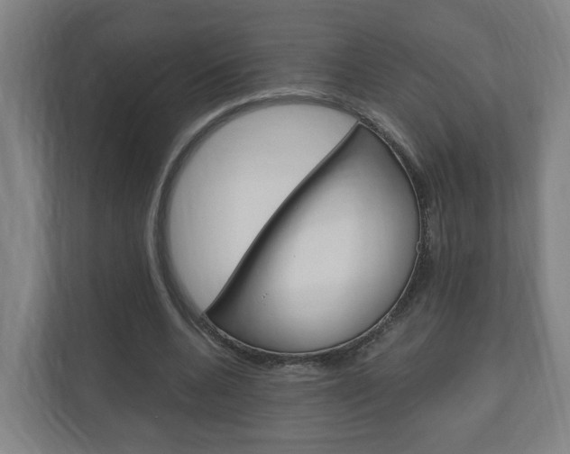 X0000111030536200906251119