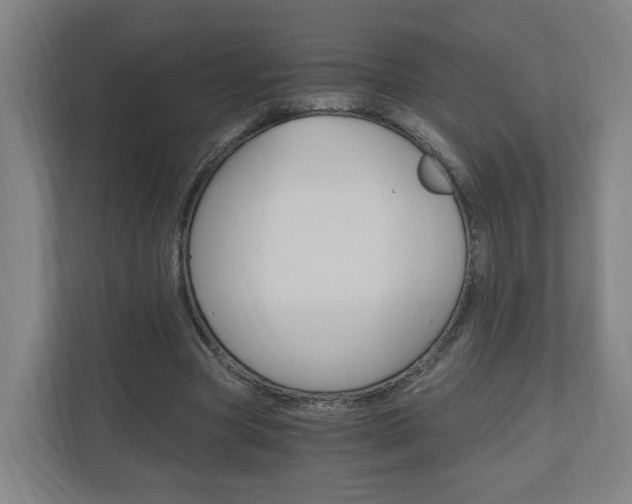 X0000111030537200906251120