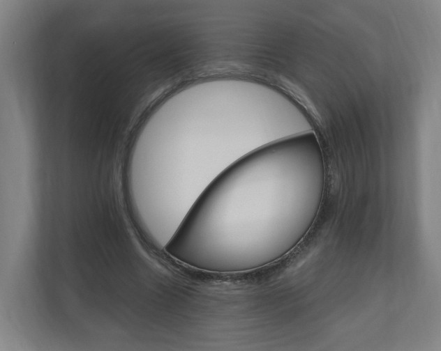 X0000111030538200906251120