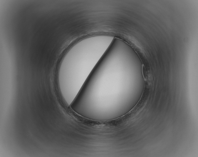X0000111030544200906251120