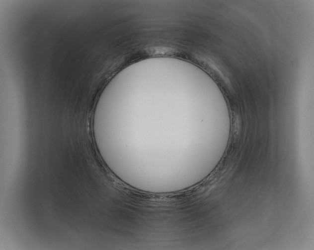 X0000111030545200906251120