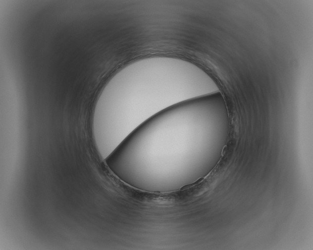 X0000111030546200906251120