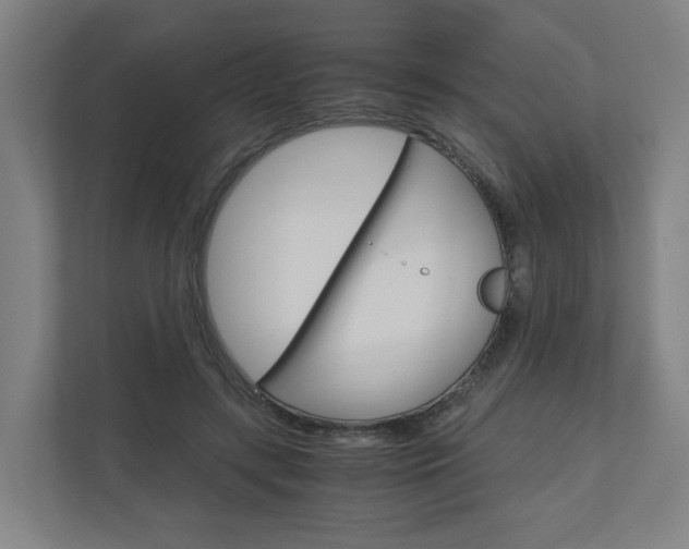 X0000111030547200906251120