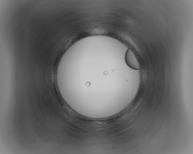 X0000111030549200906251120