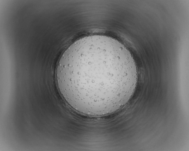 X0000111030550200906251120