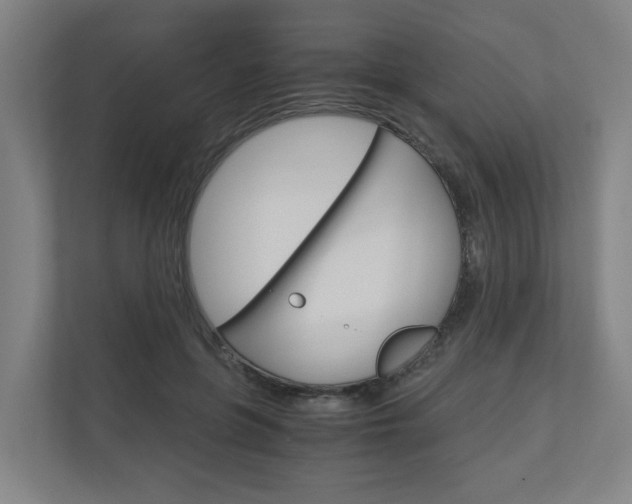 X0000111030551200906251120