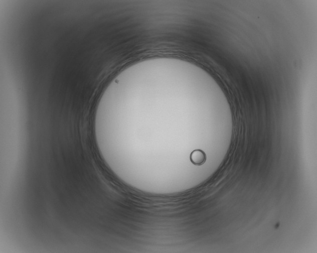 X0000111030552200906251120