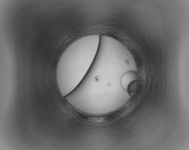 X0000111030554200906251120