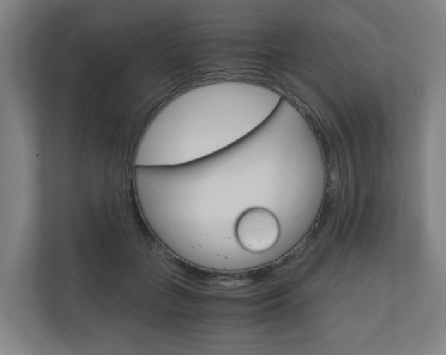 X0000111030555200906251120