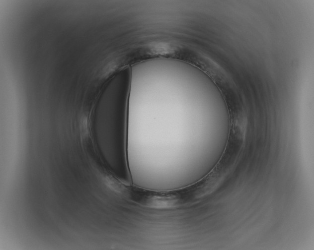 X0000111030556200906251120