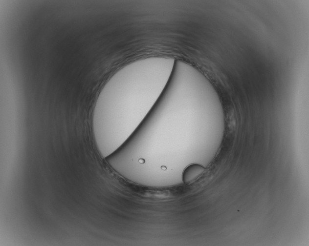 X0000111030559200906251120