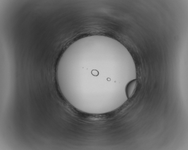 X0000111030563200906251120