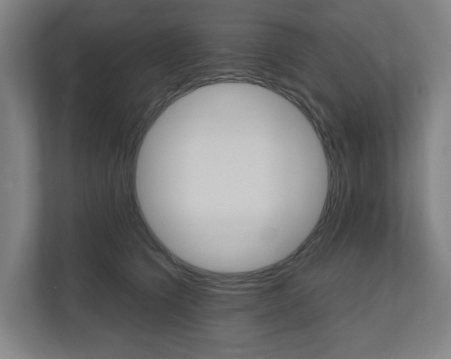 X0000111030564200906251120