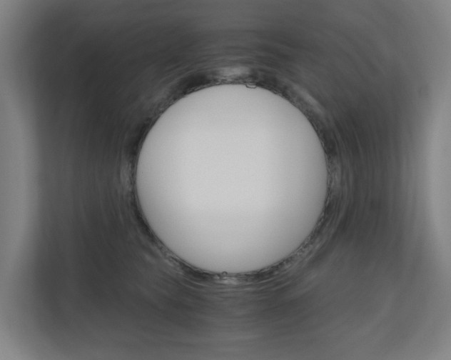 X0000111030565200906251120