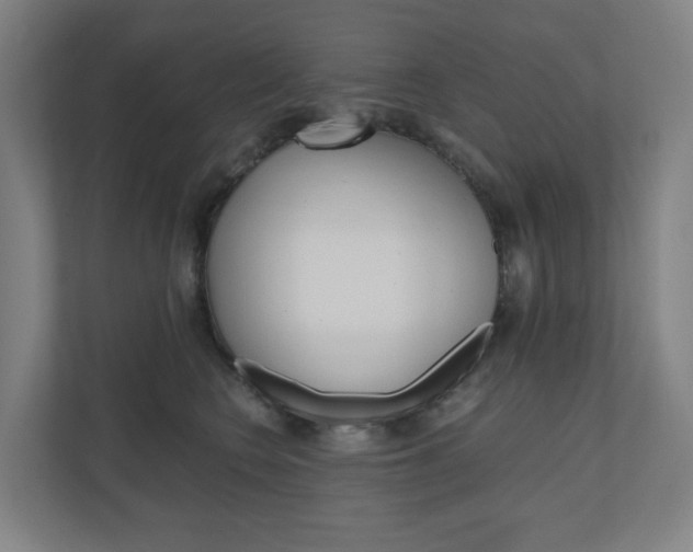 X0000111030566200906251120