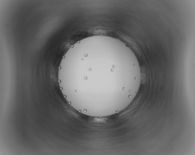 X0000111030573200906251120