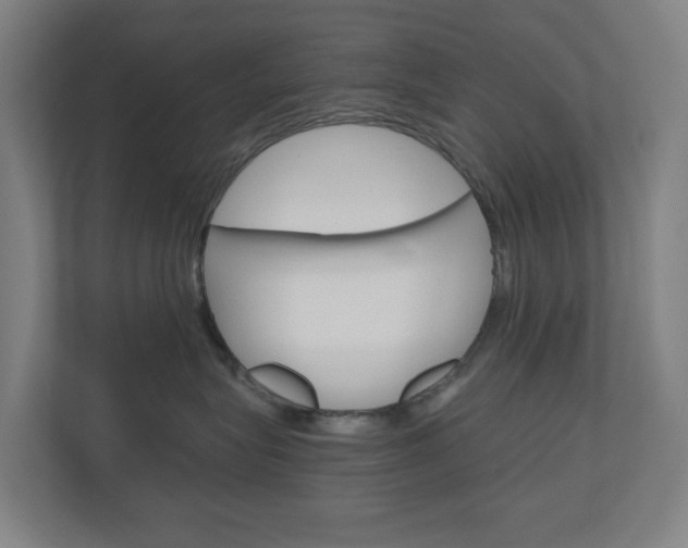 X0000111030575200906251120