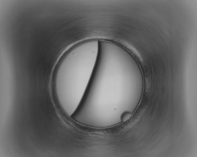 X0000111030580200906251119