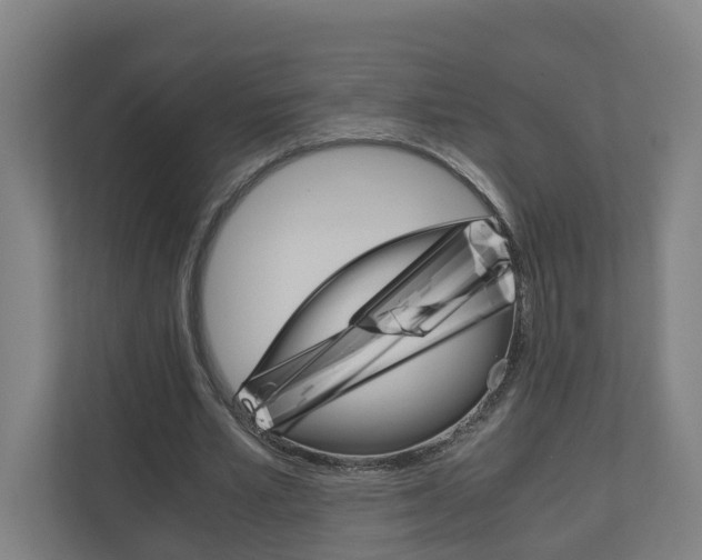 X0000111030581200906251119