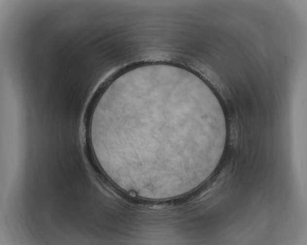 X0000111030584200906251119
